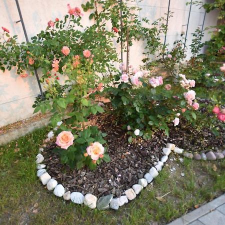 Apartmaji Lejardin Škofljica エクステリア 写真