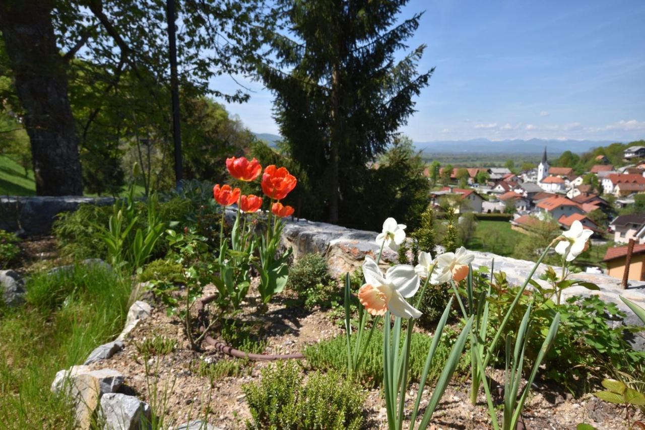 Apartmaji Lejardin Škofljica エクステリア 写真