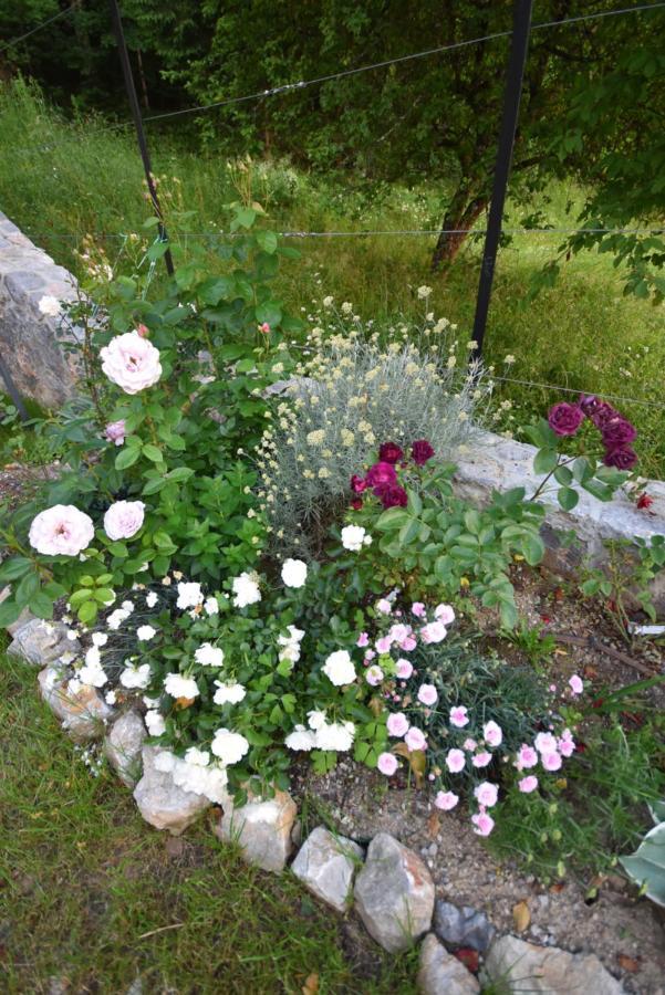 Apartmaji Lejardin Škofljica エクステリア 写真