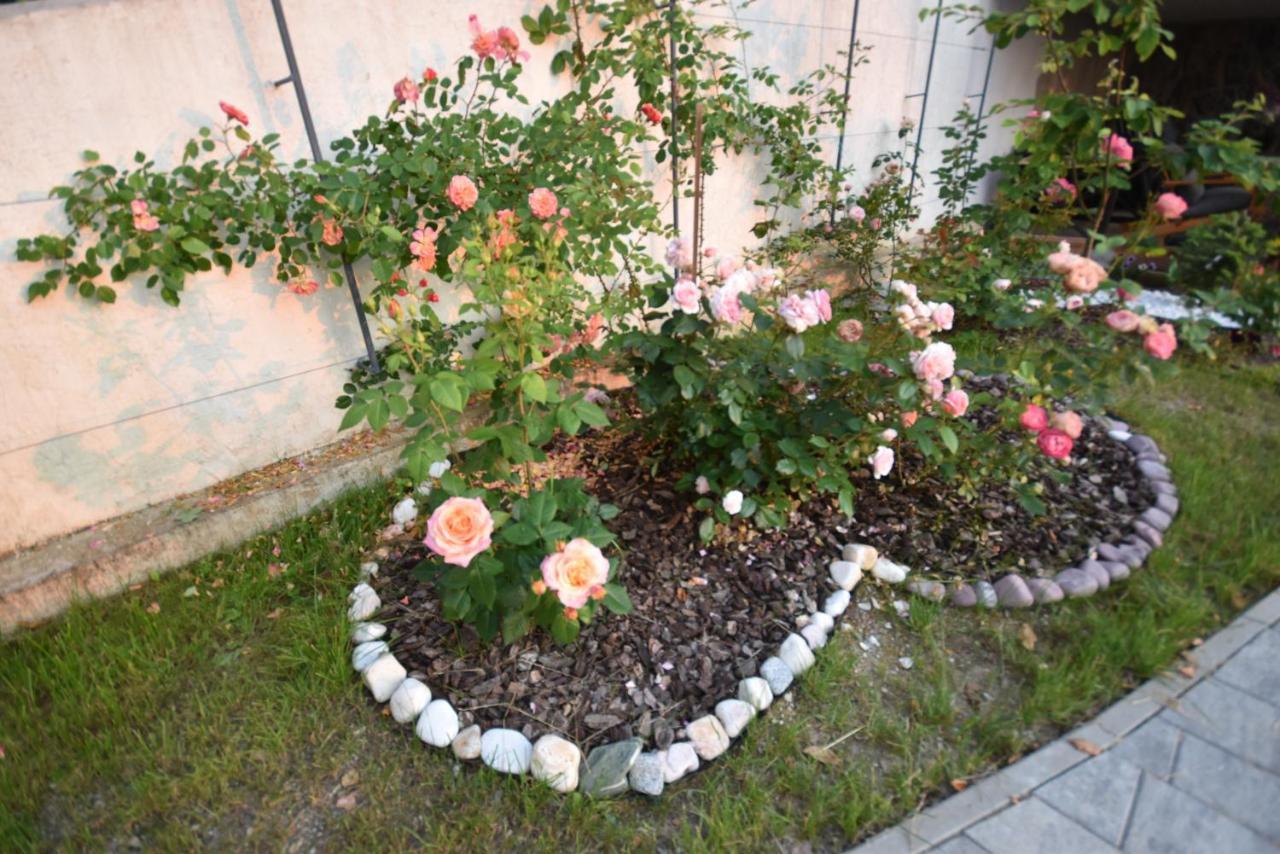 Apartmaji Lejardin Škofljica エクステリア 写真